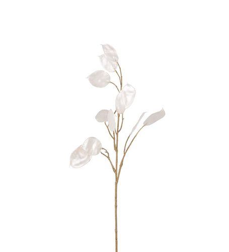 Lunaria Shimmer White
